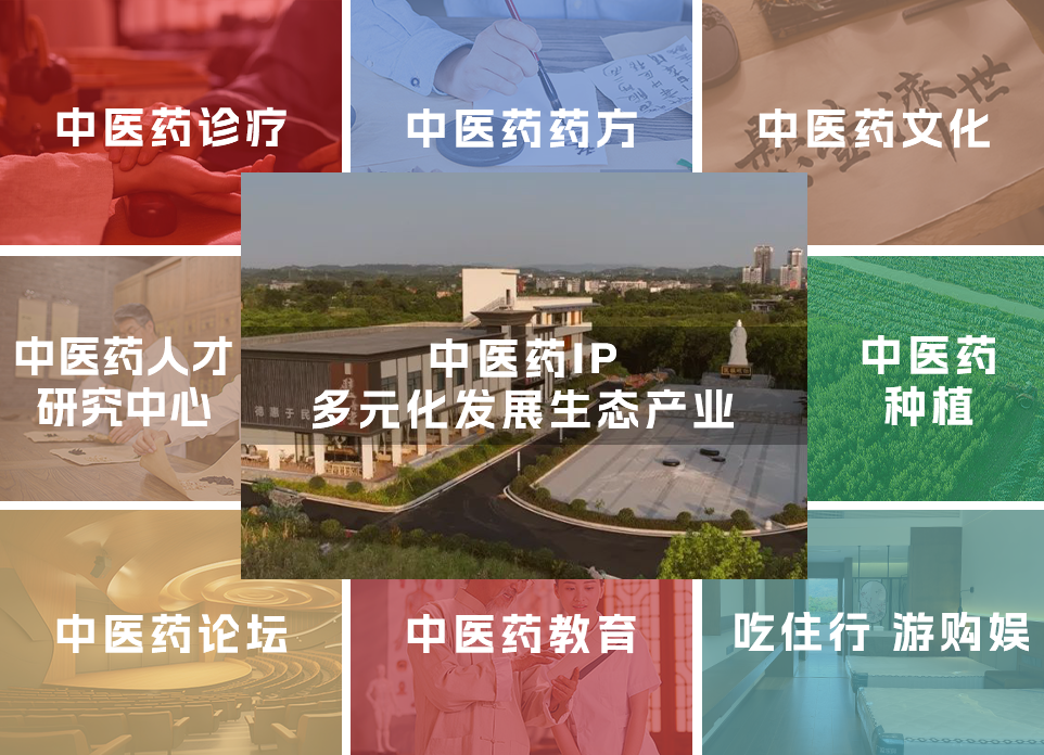 中医调理-重庆中医馆-看中医就到璧善堂中医馆